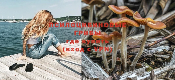 ешки Арсеньев