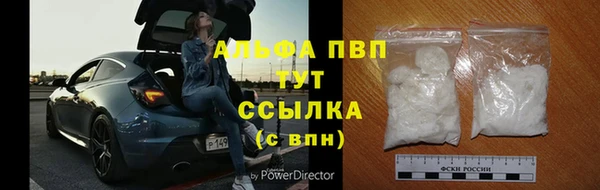 ешки Арсеньев