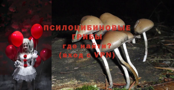 ешки Арсеньев