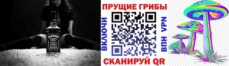 Галлюциногенные грибы Psilocybe  закладки  Балашов 